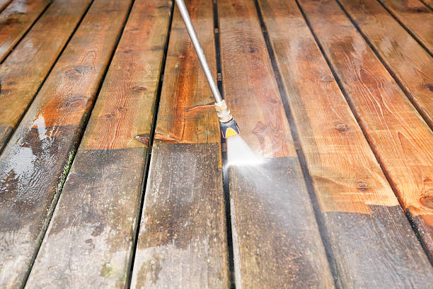 Animal Enclosure Cleaning in Big Bear Lake, CA